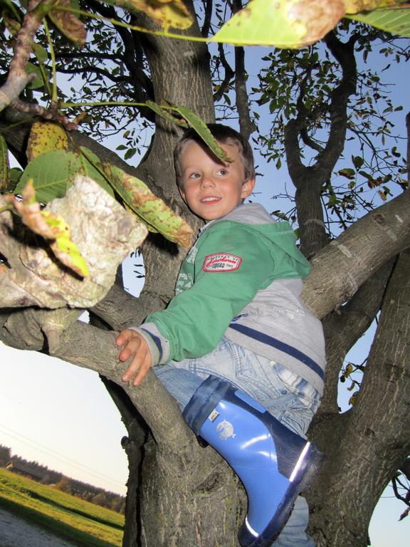 Baby- Und Kinderhof Aicherbauer Seeham Eksteriør billede